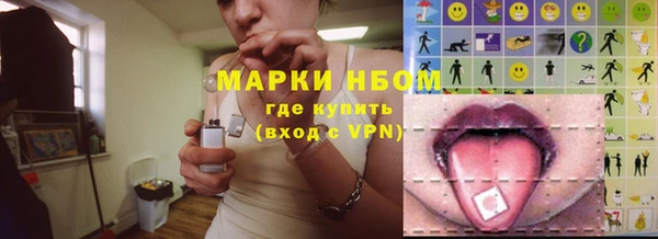 гидропоника Алзамай