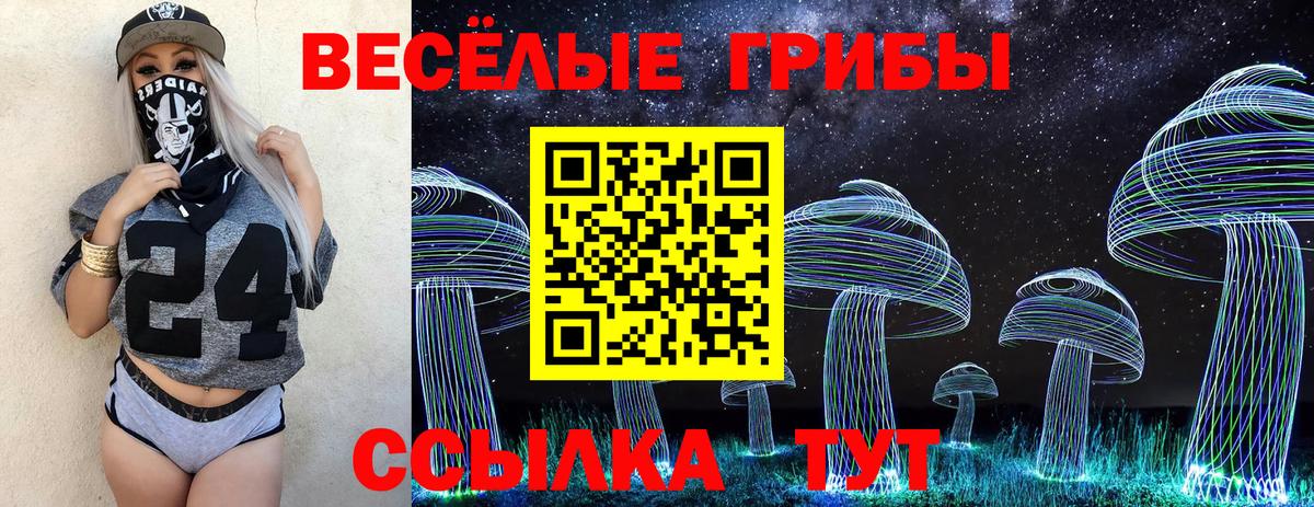 Галлюциногенные грибы GOLDEN TEACHER  Галлюциногенные грибы Cubensis  Бахчисарай 