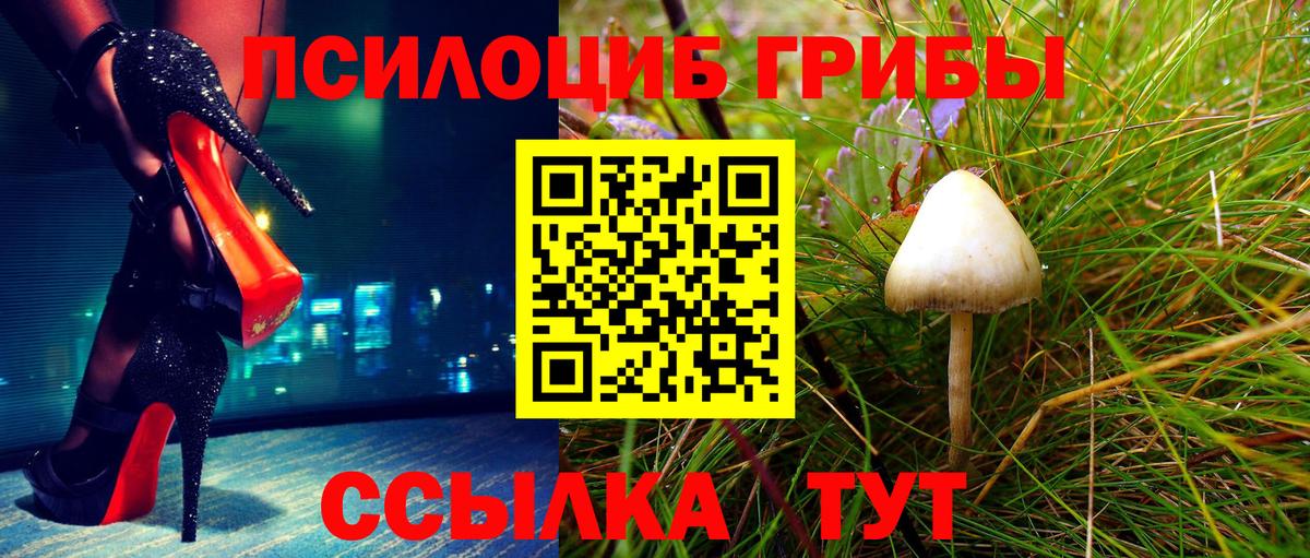 Бахчисарай  где купить наркотик  Вход с VPN  Псилоцибиновые грибы Cubensis  Галлюциногенные грибы ЛСД 